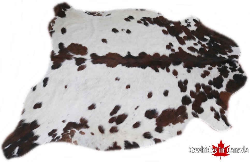 98295  Cowhide rug Collection Cowhides in Canada TRICOLOR