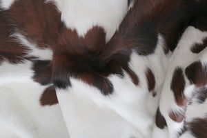 98295  Cowhide rug Collection Cowhides in Canada TRICOLOR