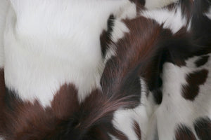 98295  Cowhide rug Collection Cowhides in Canada TRICOLOR