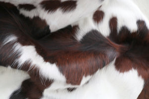 98295  Cowhide rug Collection Cowhides in Canada TRICOLOR