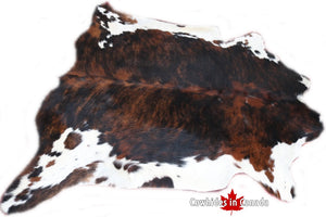 98296  Cowhide rug Collection Cowhides in Canada TRICOLOR