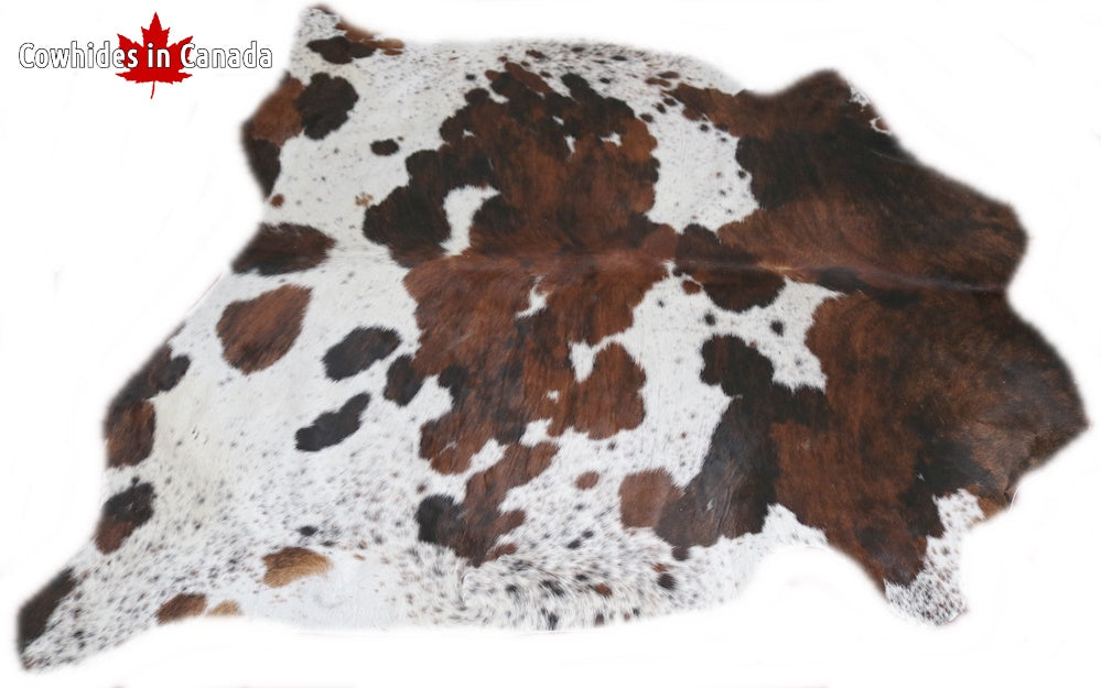 98297  Cowhide rug Collection Cowhides in Canada TRICOLOR