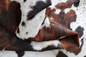 98297  Cowhide rug Collection Cowhides in Canada TRICOLOR