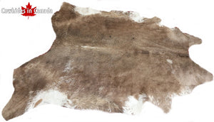 98304  Cowhide rug Collection Cowhides in Canada