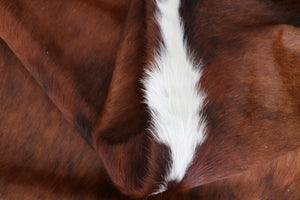 98305  Cowhide rug Collection Cowhides in Canada TRICOLOR