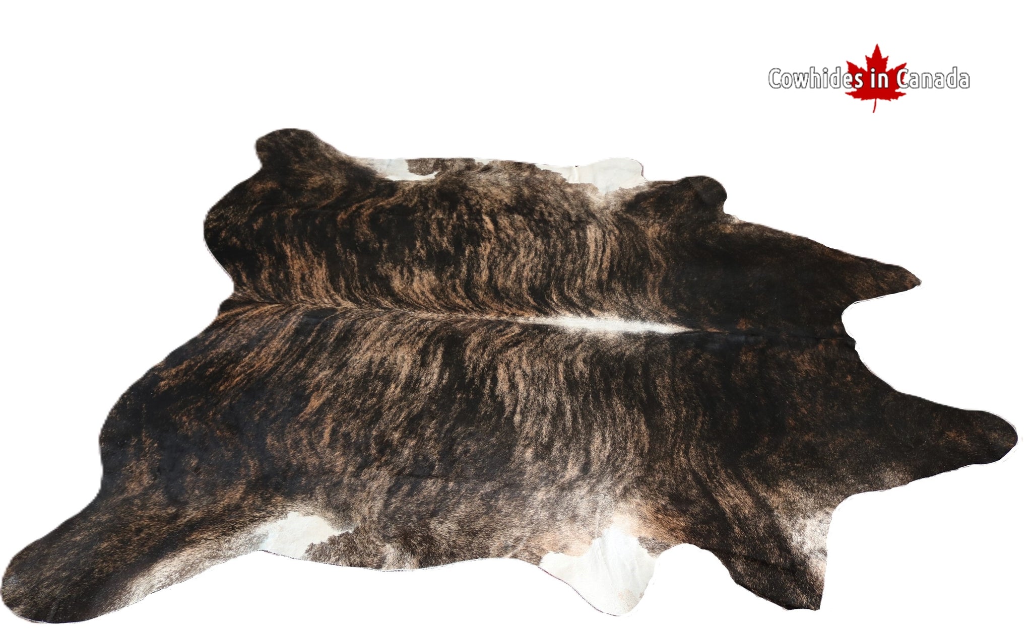 98321 BIG SIZE XXL BRINDLE DARK COWHIDE RUG-  Premium Collection