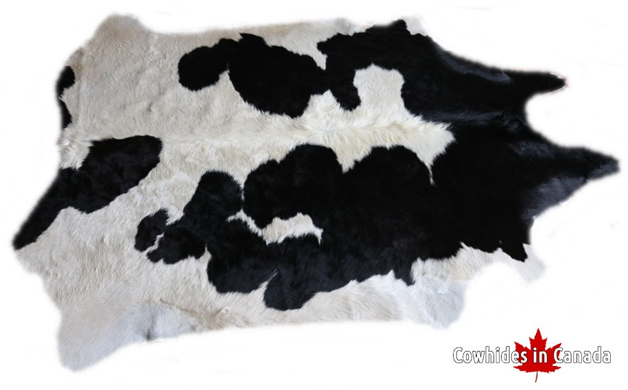 A 95255  Cowhide rug Collection Cowhides in Canada