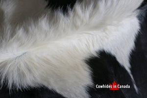 A 95255  Cowhide rug Collection Cowhides in Canada