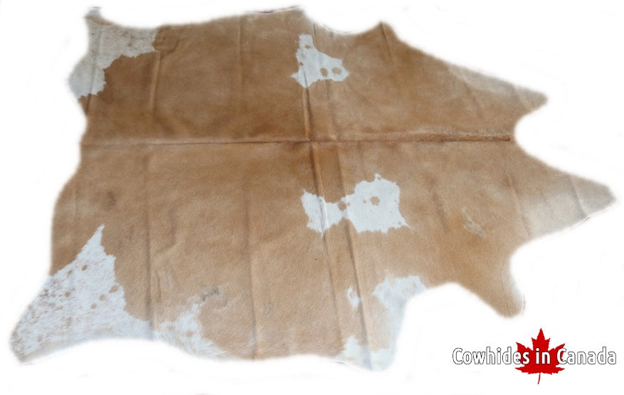 A 95286 Cowhide rug Collection Cowhides in Canada