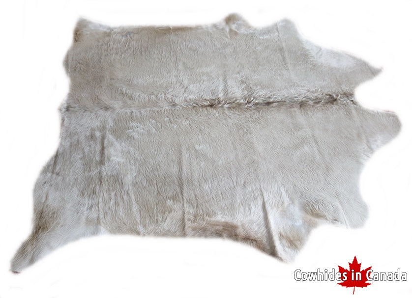 A 95287 Cowhide rug Collection Cowhides in Canada