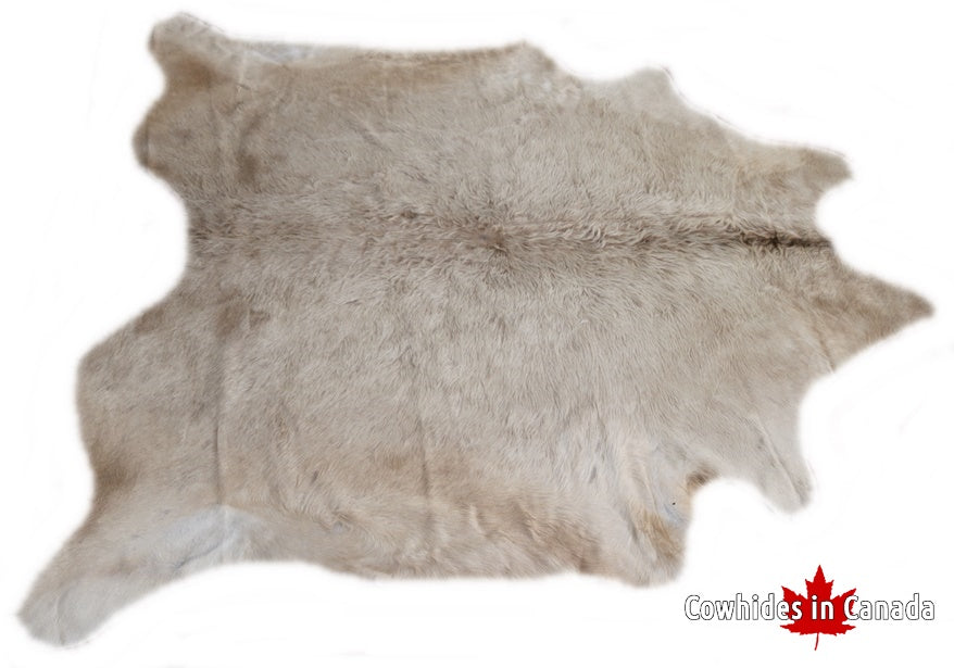 A 95290 Cowhide rug Collection Cowhides in Canada