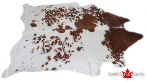 A 95311 Cowhide rug Collection Cowhides in Canada