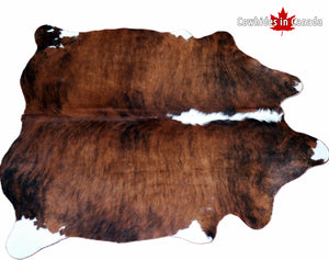 98305  Cowhide rug Collection Cowhides in Canada TRICOLOR