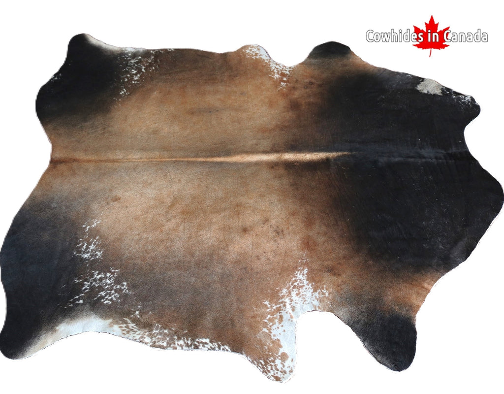 98306 Cowhide rug Collection Cowhides in Canada TRICOLOR