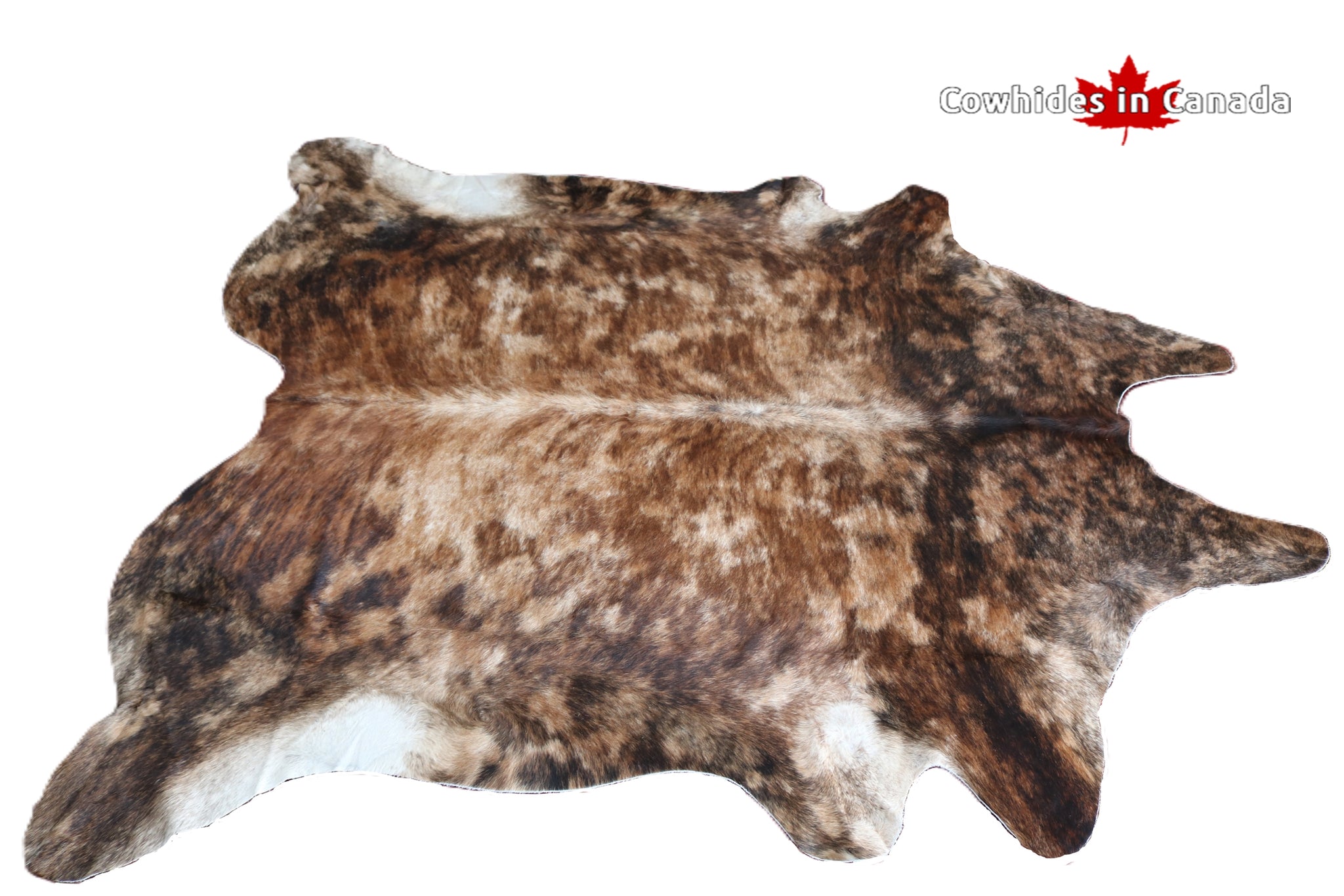 98320 - Exotic Cowhide Rug BIG SIZE XXL BRINDLE DARK - Premium Collection