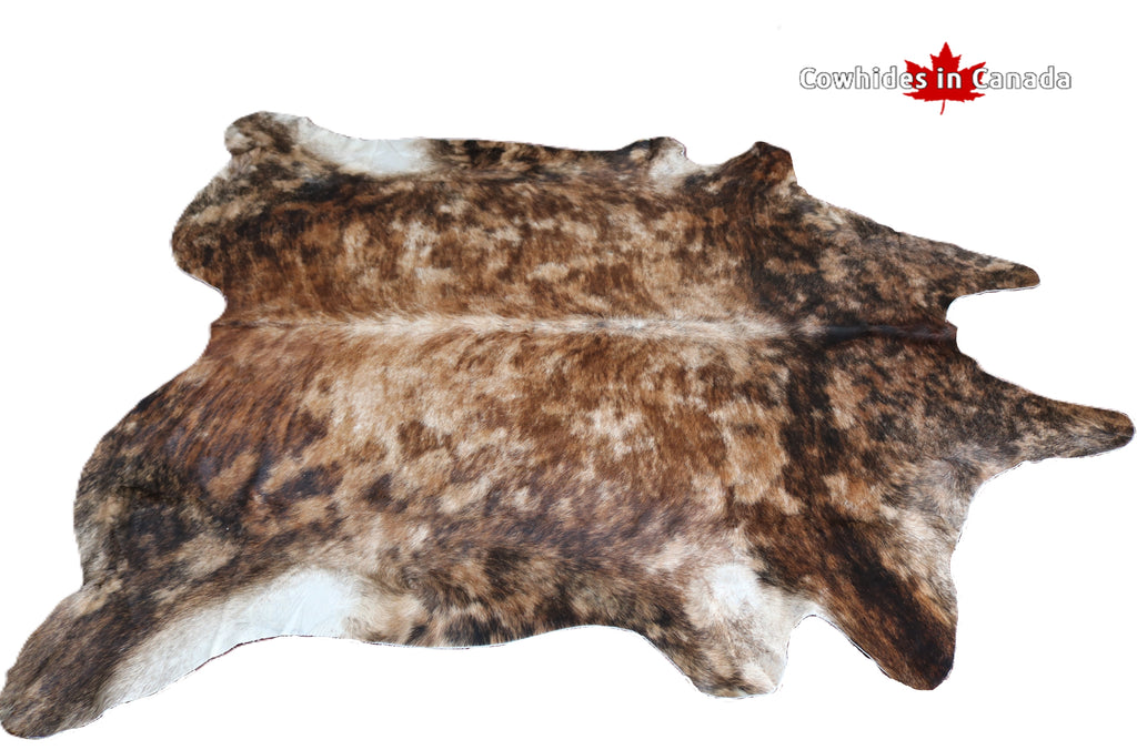 98320 - Exotic Cowhide Rug BIG SIZE XXL BRINDLE DARK - Premium Collection