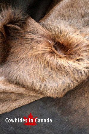 98324- Cowhide Rug -  Premium Collection