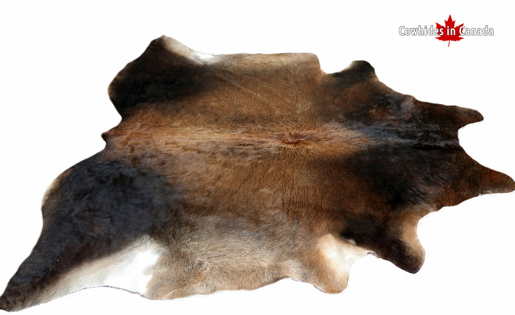 98324- Cowhide Rug -  Premium Collection