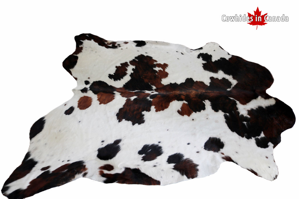 98343 - Cowhide Rug  BIG SIZE XXL TRICOLOR -Premium Collection