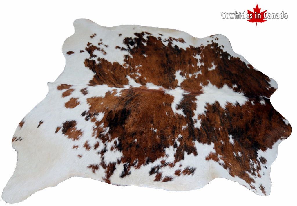 98350 - Cowhide Rug TRICOLOR - Premium Collection