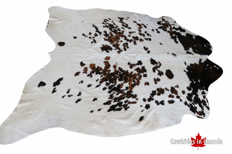 Cowhide rugs In Canada. Best price and quality. Free shipping