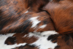 Real Cowhide Rug Tricolor. Premium Collection. Code 98020