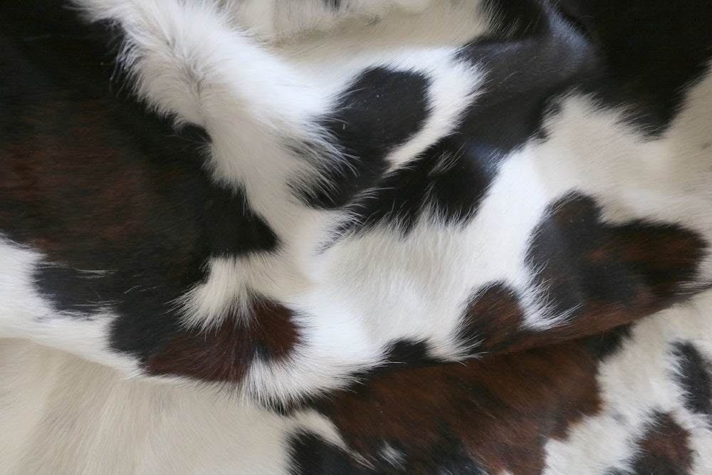 Real Cowhide Rug Tricolor. Premium Collection. Code 98024