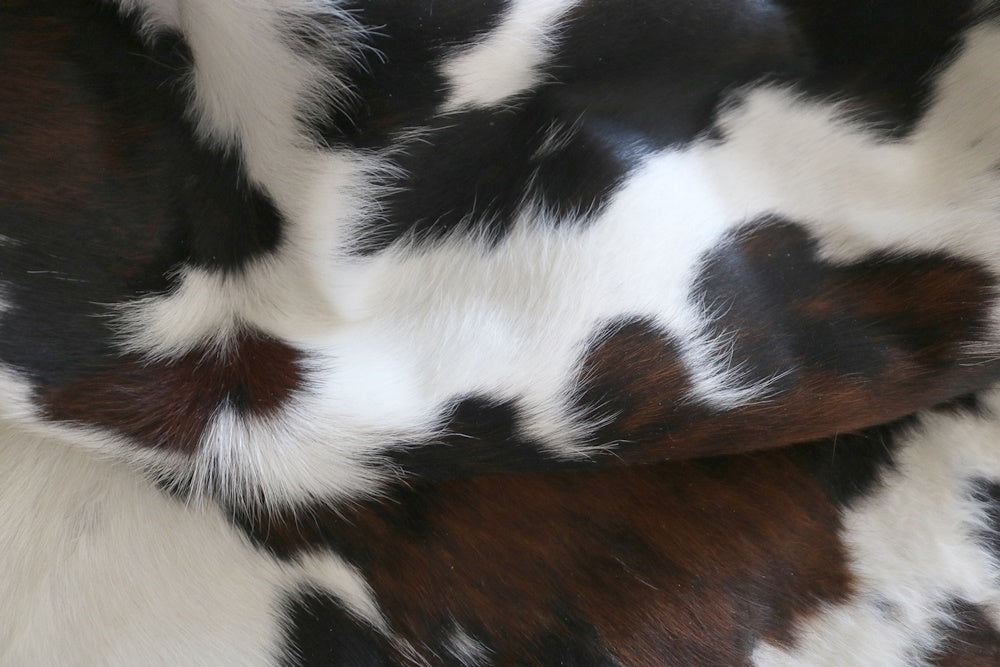 Real Cowhide Rug Tricolor. Premium Collection. Code 98024