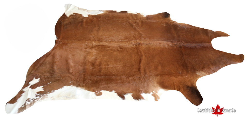 200006 - SUPER BIG SIZE XXX Cowhide Rug  - Premium Collection