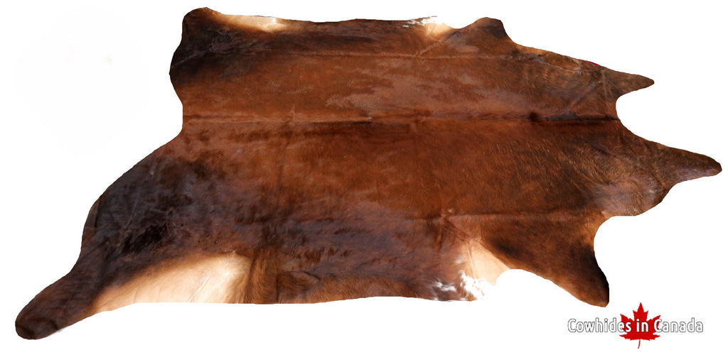 200007 - SUPER BIG SIZE XXXL Cowhide Rug  - Premium Collection