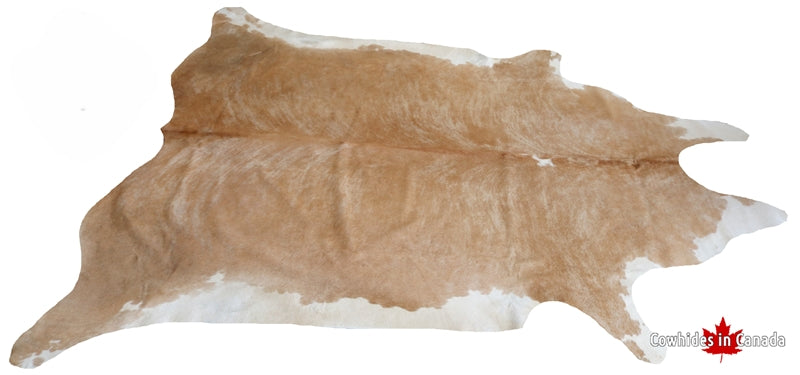 200008 - SUPER BIG SIZE Cowhide Rug Tapis   XXXL - Premium Collection