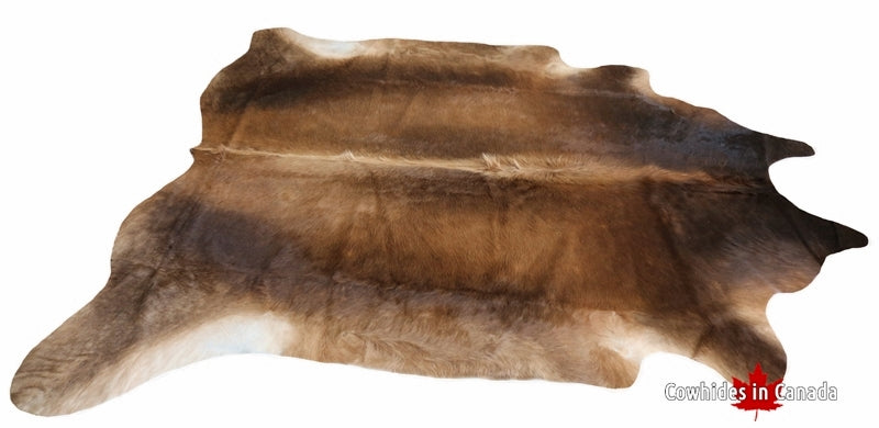 200009 - SUPER BIG  Brown Cowhide Rug   XXXL - Premium Collection.