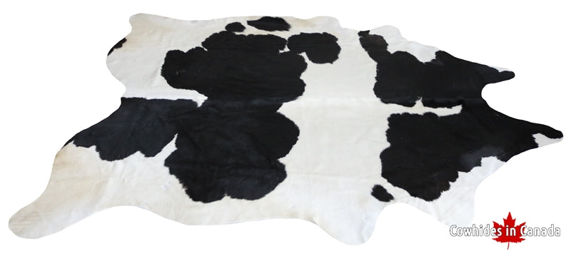 200023 - SUPER BIG Black and White Cowhide Rug  SIZE XXXL - Premium Collection