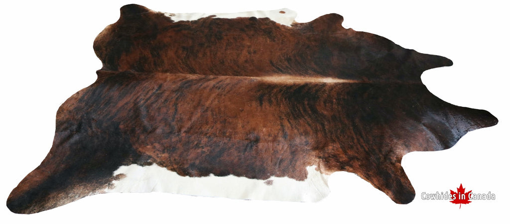 200037 - SUPER BIG SIZE XXXL Cowhide Rug  Tricolor Brindle - Premium Collection