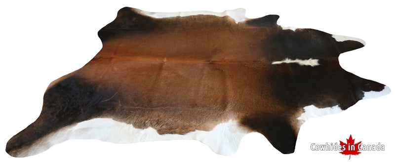200046 - SUPER BIG Cowhide Rug Tricolor SIZE XXXL - Premium Collection