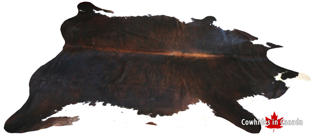 200048 - XXXL SUPER BIG SIZE Cowhide Rug    -  Premium  Collection
