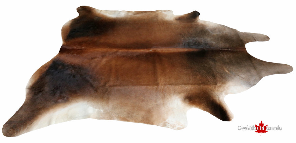 200106  Cowhide rug Collection Cowhides in Canada XXXL SUPER BIG SIZE