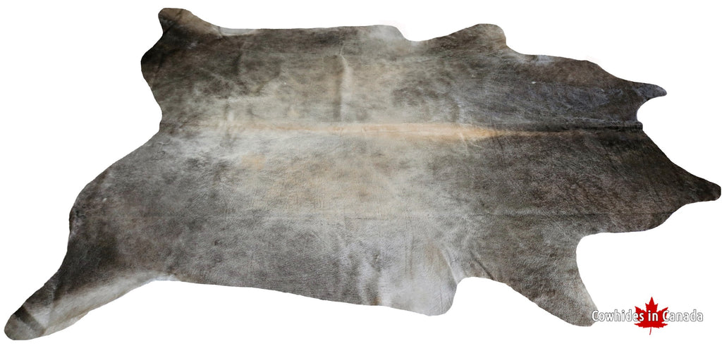 200119- Grey Cowhide Rug  SUPER BIG SIZE XXXL -  Premium Collection