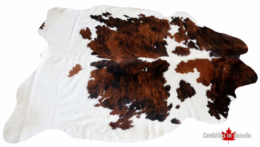200145 - Cowhide Rug Tricolor - Premium Collection