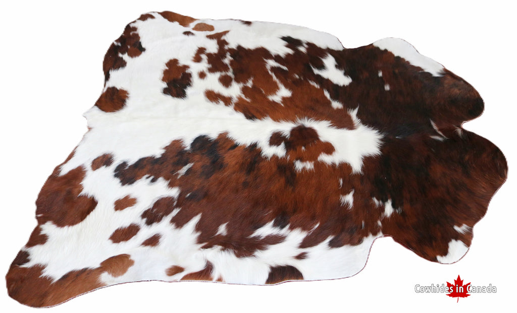 200170 - Tricolor Cowhide Rug - Premium  Collection