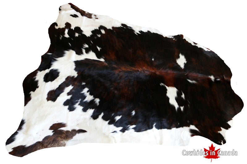 200527- Cowhide Rug Tricolor -  Premium Collection