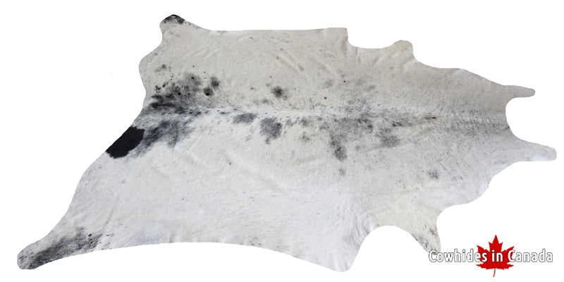 300014- BIG Gray Exotic Cowhide Rug  XL.  Premium Collection