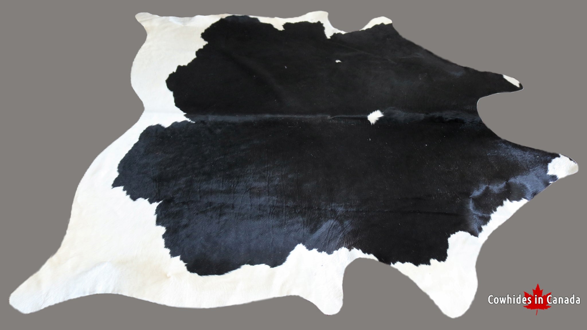 300037 -Black and White  Cowhide Rug -  Premium Collection