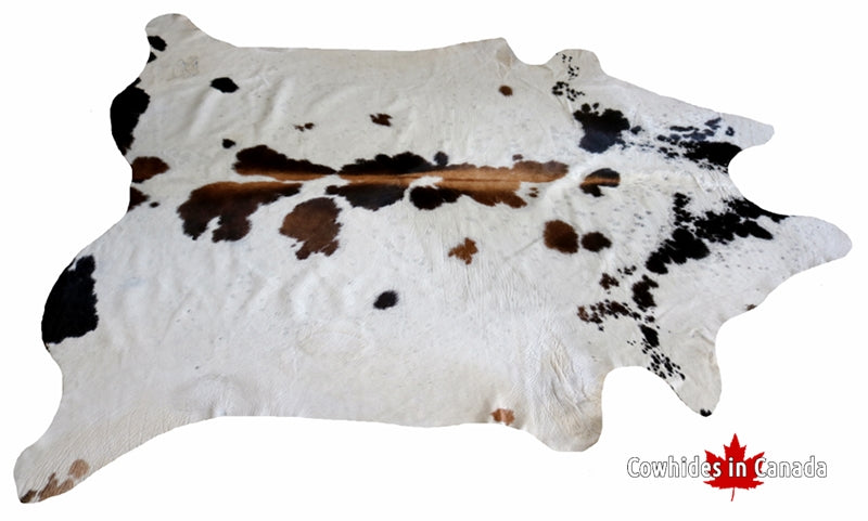 300045 - Exotic Cowhide Rug Tricolor. Premium Collection