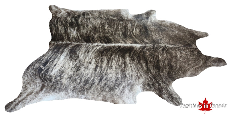 300101- BIG SIZE Exotic Brindle Cowhide Rug  XL.  Premium Collection