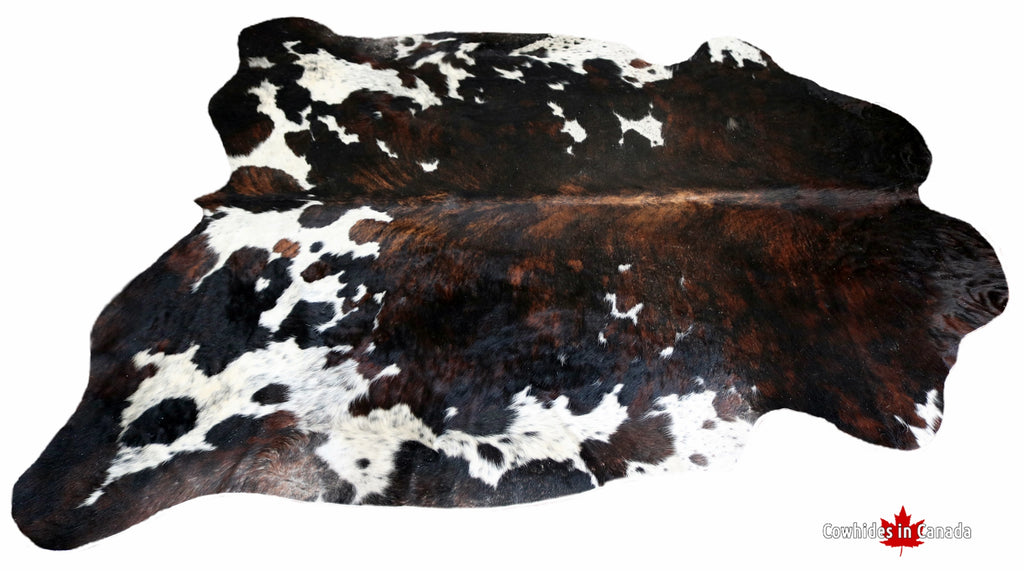98339 - BIG SIZE XXL Cowhide Rug  TRICOLOR -  Premium Collection
