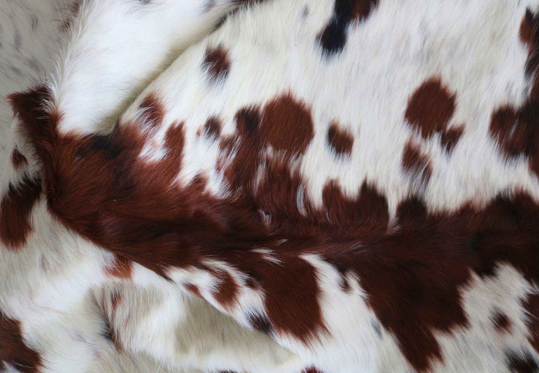 200216 - Cowhide Rug Tricolor - Premium Collection