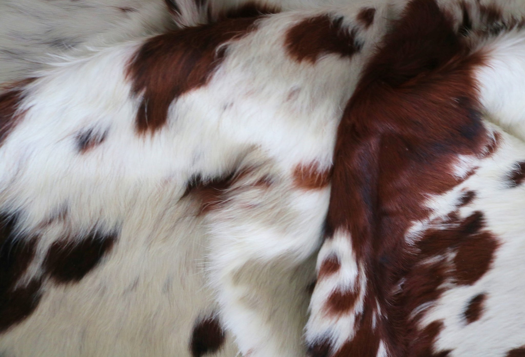 200216 - Cowhide Rug Tricolor - Premium Collection