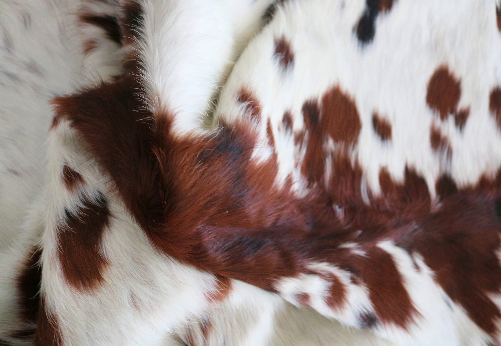 200216 - Cowhide Rug Tricolor - Premium Collection