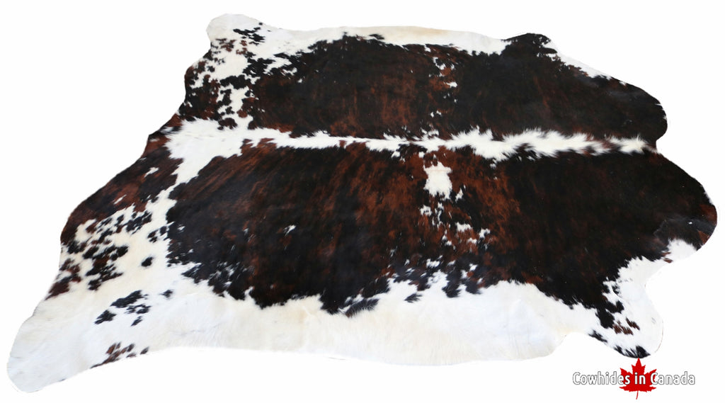 98337 - BIG SIZE XXL Cowhide Rug  TRICOLOR -  Premium Collection